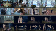 Turkey shoot | Download from Files Monster