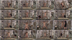 Teaching Student Galiel - Part 2 | Download from Files Monster