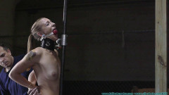 Collared, Gagged, Spanked, Whipped | Download from Files Monster