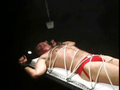 Bound Muscle vol.1 The | Download from Files Monster