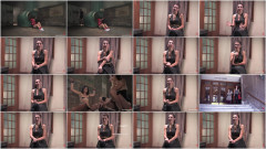 What's in a Name? Princess Donna | Download from Files Monster