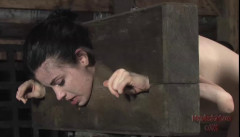 Stocked Slut Part Two | Download from Files Monster