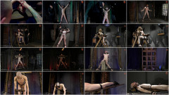 665bdsm videos | Download from Files Monster