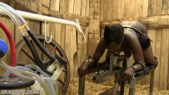 Hucows Shay – the goat milker | Download from Files Monster