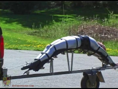 Joelle - Trailered | Download from Files Monster