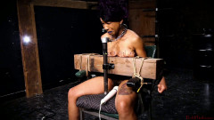 Cupcake SinClair  In The New Year Brutalmaster | Download from Files Monster