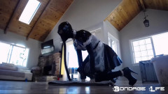 Greyhound Cleaning Service | Download from Files Monster