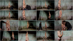 Futilestruggles - Rachel rehab inverted custom Part 1 | Download from Files Monster