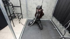 Fantia - Lemon - Clip 38 | Download from Files Monster