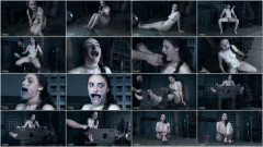 The Orifice Part 3 | Download from Files Monster