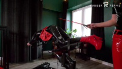 Rubber Pervs Home Office | Download from Files Monster