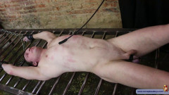 Should be in bondage HD | Download from Files Monster