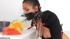Calisa Bliss – the new maid Beltbound | Download from Files Monster
