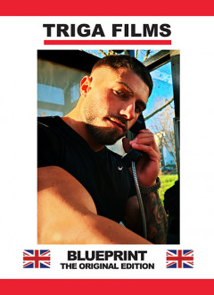 Triga - Blueprint - The Original Edition | Download from Files Monster