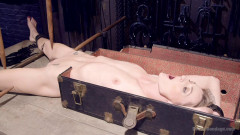 Encased, Restrained and Tormented!! | Download from Files Monster
