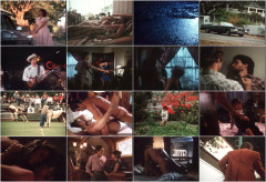 Wild Dallas Honey 1982's Part 2 | Download from Files Monster