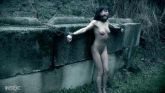Wet Dreams | Download from Files Monster