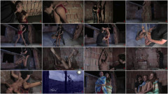 Bessie Carter | Download from Files Monster