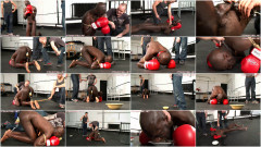 Straighthell the best vol. 11 | Download from Files Monster