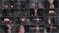 Double the Pain | Download from Files Monster