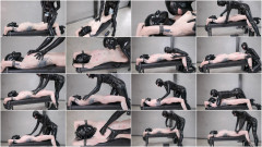 Reflectivedesire - The Nibbler | Download from Files Monster
