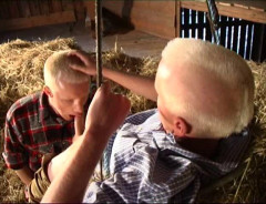 Gay - Bavarian Affair 480p Part 7 | Download from Files Monster