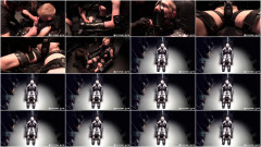 Greyhound In The Chair | Download from Files Monster