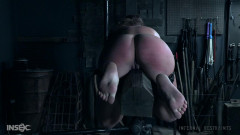 Pain It Forward: Slashed | Download from Files Monster