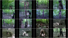 Tyler File part 2 | Download from Files Monster