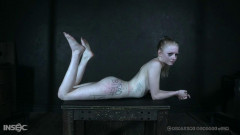 White Trash Part 3 | Download from Files Monster