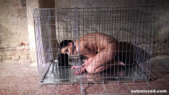 Clair Brooks caged cuffed gagged stripped | Download from Files Monster