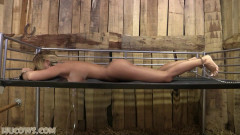 Natalia Forrest – nipple enlargement | Download from Files Monster