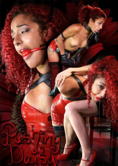 Daisy Ducati | Download from Files Monster