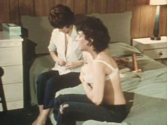 Pleasure Motel 1973's Part 7 | Download from Files Monster