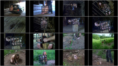 49 Farm 1 | Download from Files Monster