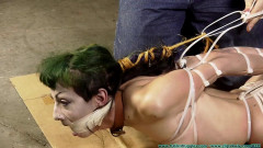 Vesper Leashed, Paraded, Strung Up, and then Hogzipped - Part 3 | Download from Files Monster