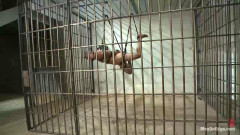 Edging A Straight Cop | Download from Files Monster