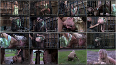 Caught To Be Used (Part 1) | Download from Files Monster