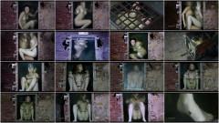 Leeches | Download from Files Monster