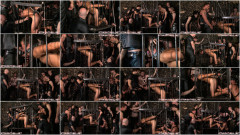 Straighthell the best vol. 151 | Download from Files Monster