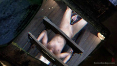 Devicebondage - Adriana Chechik -  and Abused | Download from Files Monster