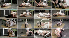 Futilestruggles - Jj plush675 Part 3 | Download from Files Monster