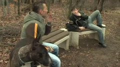 Gay Vintage Porn Scn. 235 Part 9 | Download from Files Monster