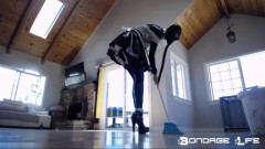 Greyhound Cleaning Service | Download from Files Monster