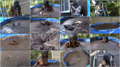 Cocoa Soft Scene Cocw002d | Download from Files Monster