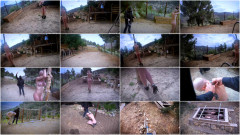Greyhound A Hot Day At The Ranch Brutalmaster | Download from Files Monster