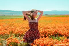Poppies - Emily Bloom | Download from Files Monster