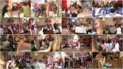DancingBear - AI Enhanced Clip 02 | Download from Files Monster