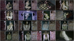 Leeches | Download from Files Monster