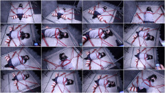 Fantia - Lemon - Clip 66 | Download from Files Monster